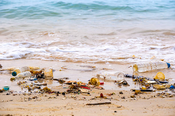 istock Trash, plastic cups and plastic bags at the beach. environmental problem concept and healing the world 2209280823