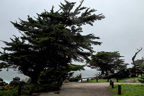 Scenic view of Pacific Ocean coast from Cypress Grove Trail at Point Lobos State Natural Reserve, California, USA against blue sky with clouds