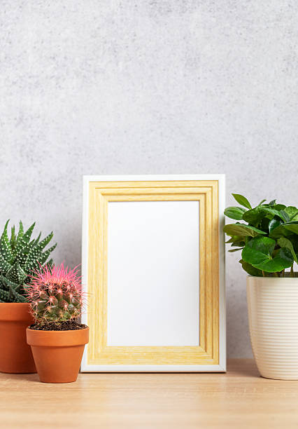 istock Decorative plants and empty frame on wooden shelf 2209288797