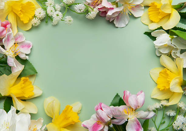 istock Daffodils and apple blossoms creating a floral frame on green background 2209288930
