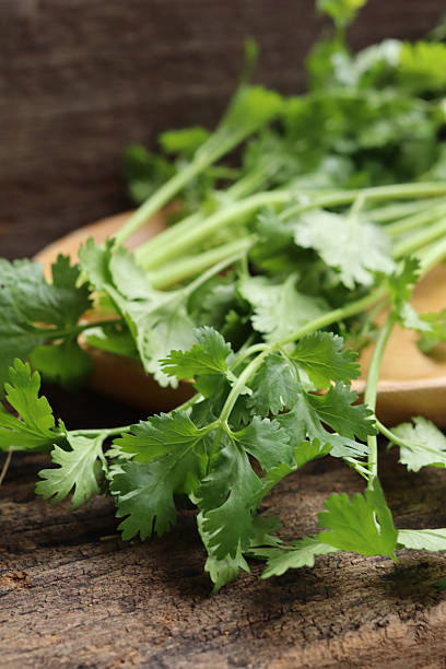 istock Close up of coriander spice herb 2209297210