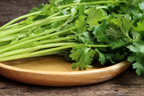 istock Close up of coriander spice herb 2209297224