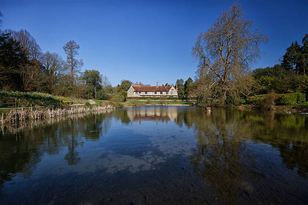 Blooming trees in Spring with lake reflections, landscape