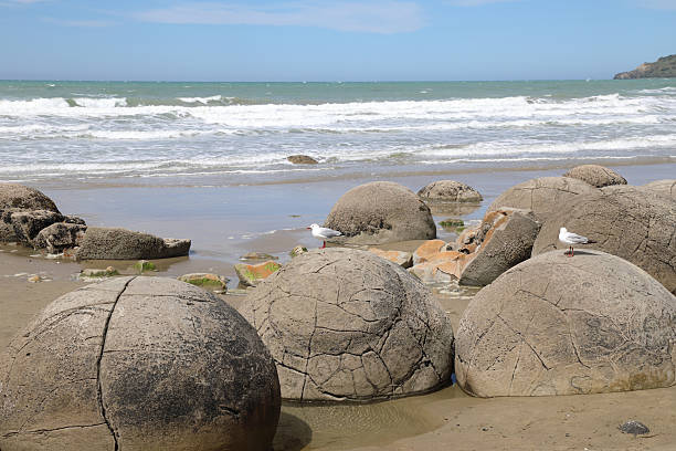 istock Moeraki Boulders / Moeraki Boulders / 2209313255