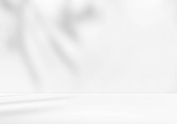 istock Empty white room studio with leaves shadow overlay effect for product presentation display. 2209316133