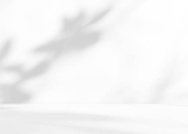 istock Empty white room studio with leaves shadow overlay effect for product presentation display. 2209317482