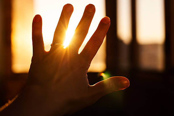 Female hand against the backdrop of sunset