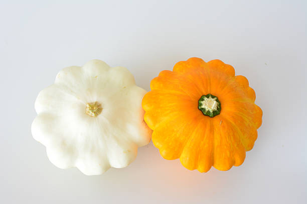 Organic  spaghetti squash vegetable isolated on white background