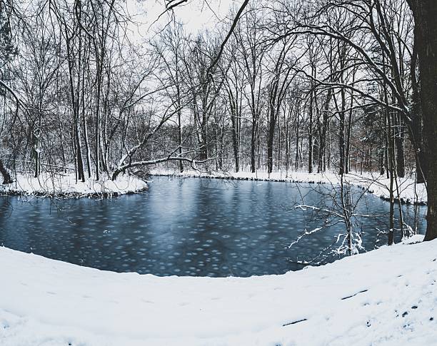 Winter scene of a tranquil frozen pond surrounded by bare trees and snow-covered ground, creating a serene and peaceful atmosphere.