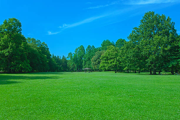istock Green Trees Park 2209321203
