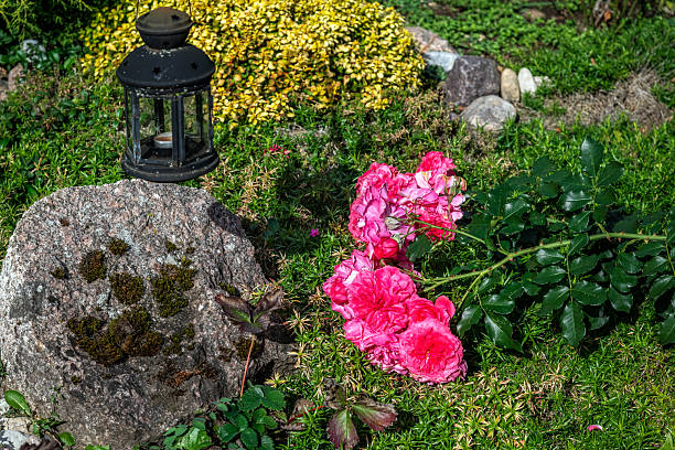 Red flower on tombstone at cemetery