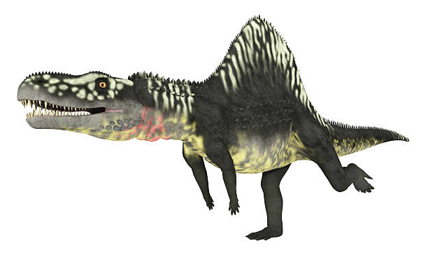 istock Archosaur Arizonasaurus isolated on white background 2209322125