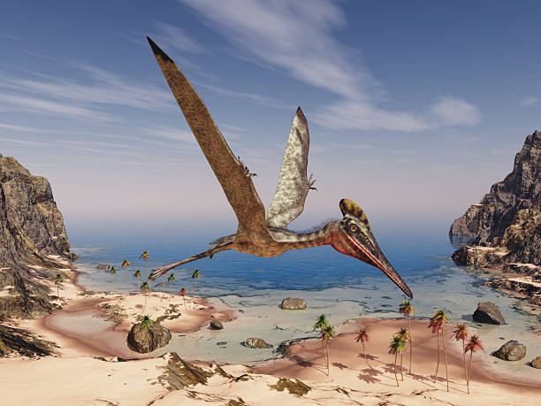 istock Pterosaur Pterodactylus over a coastal landscape 2209322418