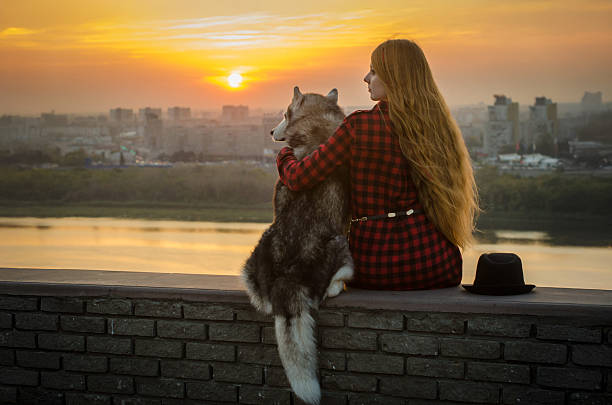 istock Young woman and husky enjoy sunset over river from roof 2209322834