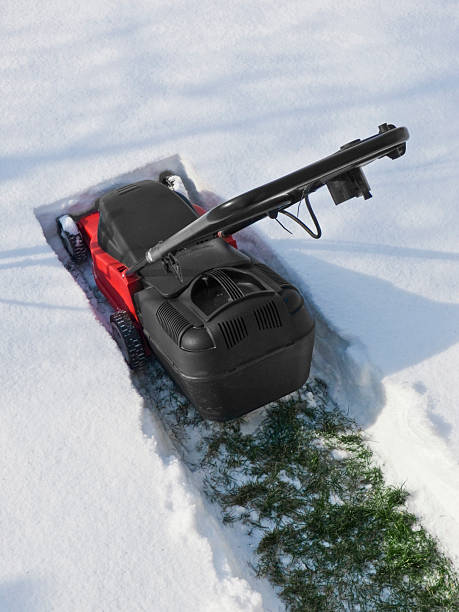 lawn snow removal grass cleaning