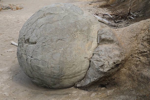 istock Moeraki Boulders / Moeraki Boulders / 2209329986