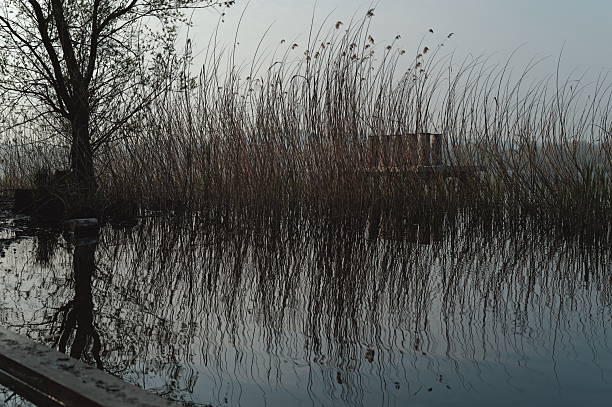 Varese lake in the morning