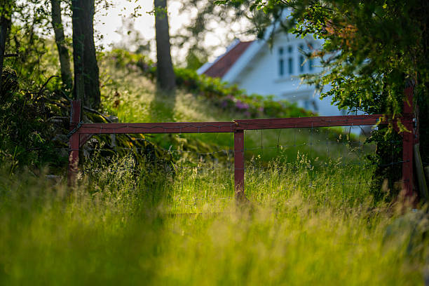 rustic fence with sunlit grass and house in background.