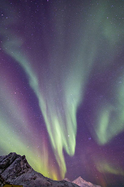 istock Northern Lights at Kvaloya, Norway 2209345353