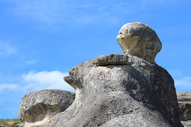 istock Neuseeland - Elephant Rocks / Neuseeland - Elephant Rocks / 2209347509