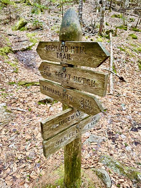 Mt Bernard, Acadia National Park
