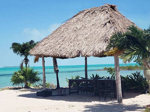 istock Thatched Hut in the Caribbean islands - Vacation 2209362338