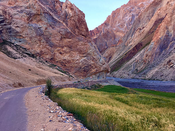 istock Winding road alongside vibrant green fields bordered by towering mountains in Leh Ladakh during early morning light 2209364277