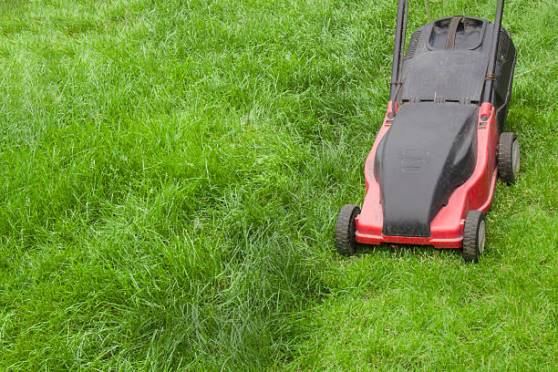 istock red lawn mower on a green manicured lawn, 2209364818