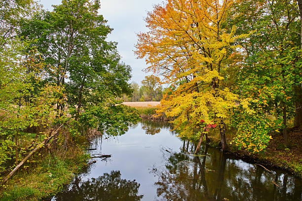 istock Serene Autumn Reflections on a Michigan Waterway 2209366533