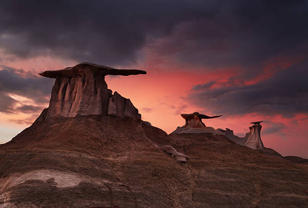 Stone Wings, bizarre rock formations in Bisti Badlands, New Mexico, USA