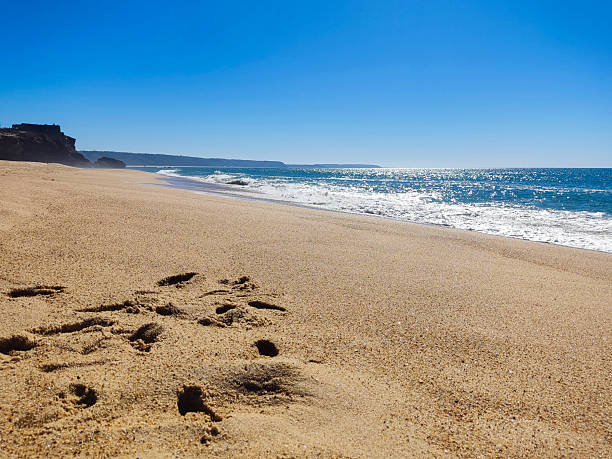 Sandy beach with footprints under a clear blue sky. Coastal landscape with calm waves. Perfect for travel, relaxation, or nature themes. Serenity  escape.