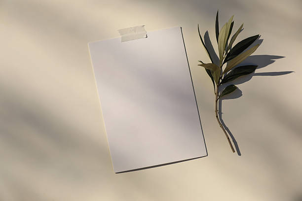 istock Summer wedding stationery mock-up arrangement. Blank vertical white greeting card invitation mockup in sunlight. Washi tape. Olive tree branch, beige table background. Mediterranean flat lay, top view 2209373242