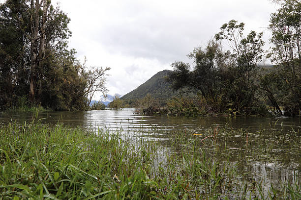 istock Lake Rotoroa / Lake Rotoroa 2209374303
