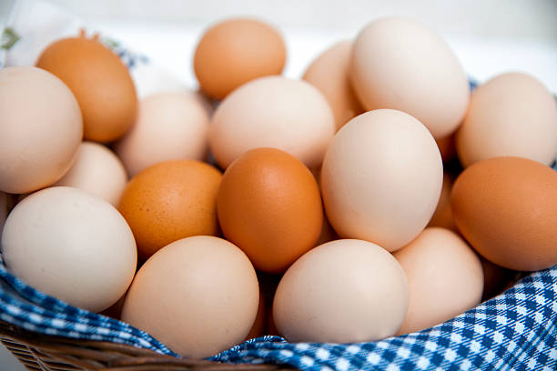 Brown vs white  Fresh Chicken Eggs collection closeup Front view of fresh brown and white chicken eggs in a wicker basket isolated on white background