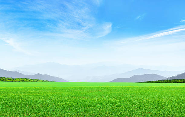 istock Summer landscape with green field, mountains and sky 2209376918