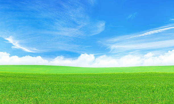 istock Summer landscape with a vast green field under a majestic sky 2209376953