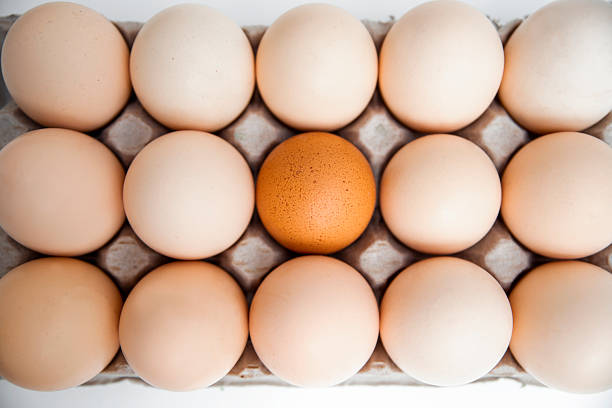 Diversity and connection concept. Many white eggs and one brown egg in craft paper package . Easter holiday background.