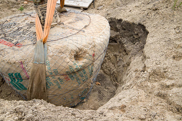 istock The tree root is covered with burlap and metal mesh. Tree transplant. 2209381664