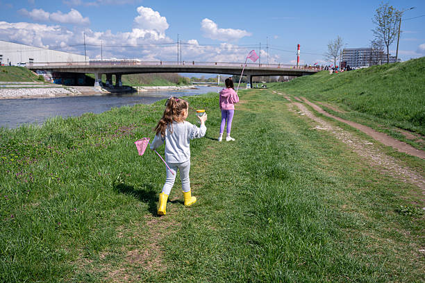 Cute girl catching butterfly at sunny summer day