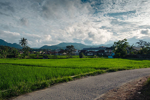 istock Scenic Rural Landscape with Green Fields and Mountain Views 2209384839