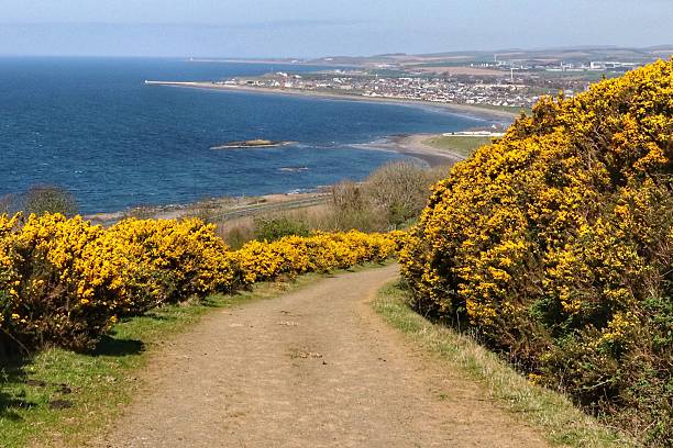 istock Hills of Girvan 2209386265