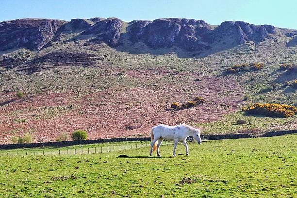 istock Hills of Girvan 2209386653