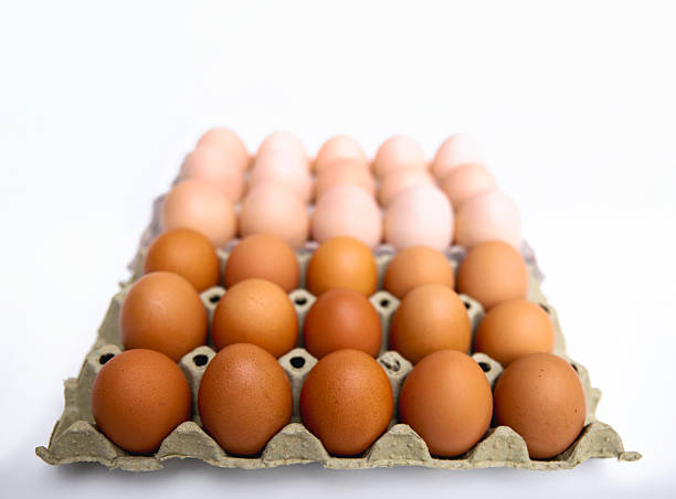 istock Eggs in carton tray arranged in gradient color 2209387129
