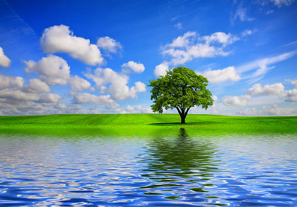 istock Ecological green zone landscape in spring 2209388251
