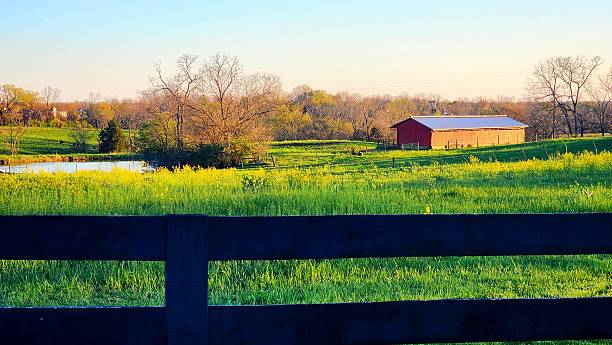 istock Springtime in Kentucky Rural and Flower Closeups 2209390556