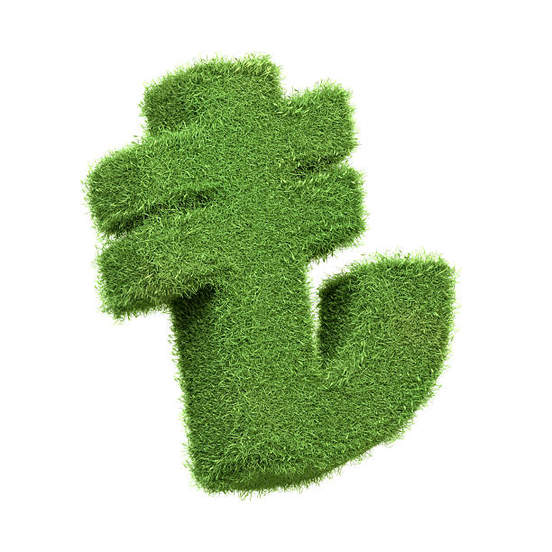 istock Turkish Lira Symbol Made of Green Grass 2209392101
