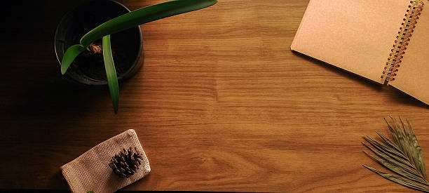 istock Frame composition with a scrapbook and a plant on wooden background. 2209392489
