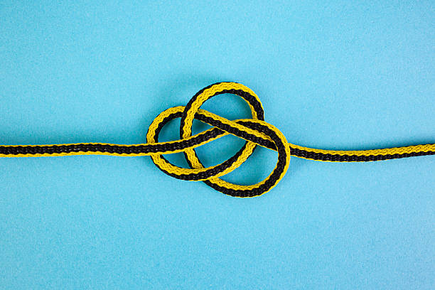 Guides knot or figure eight followed
