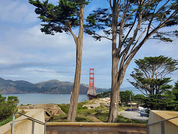 istock Golden Gate Bridge Between Two Trees, San Francisco, California 2209395520
