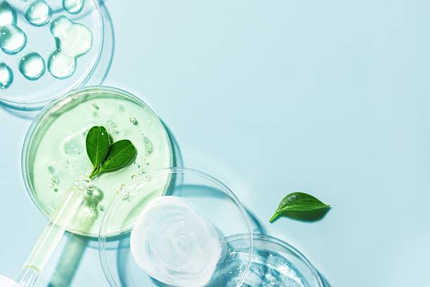 istock organic plant based skin care 2209395782